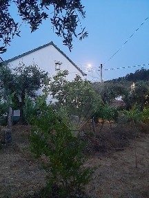 Moradia independente à venda em Sertã