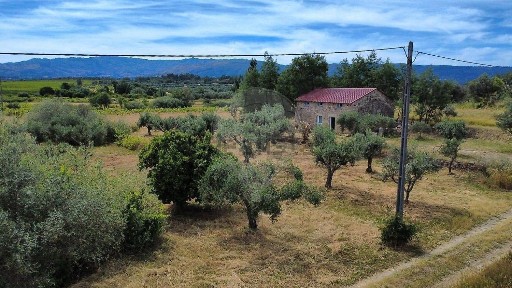 Fundão, Castelo Branco