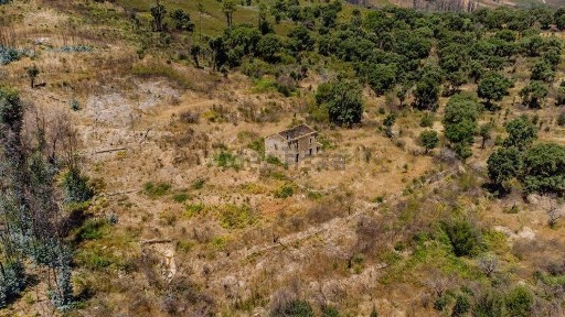 Quinta à venda em Telhado