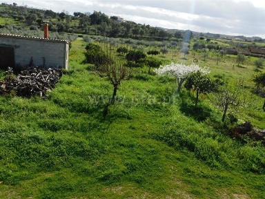 Quinta à venda em Vale de Prazeres e Mata da Rainha