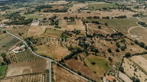 Quinta à venda em Fundão - Valverde - Donas - Aldeia de Joanes - Aldeia Nova do Cabo