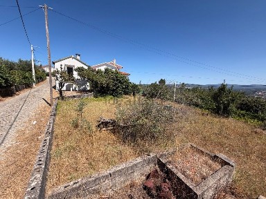 Sertã