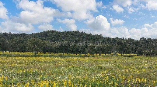 Quinta à venda em Vale de Prazeres e Mata da Rainha