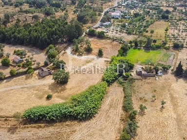 Herdade à venda em Castelo Branco