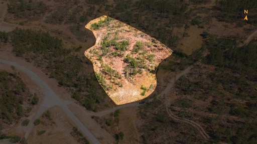 Quinta à venda em Santo André das Tojeiras