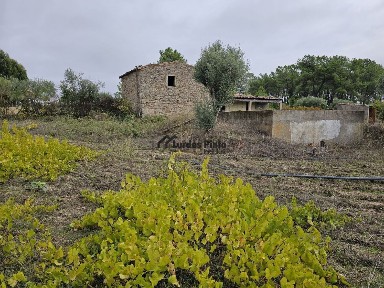 Quinta à venda em Lardosa