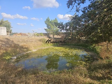 Quinta à venda em Castelo Branco