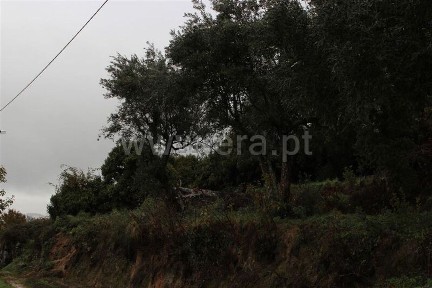 Fundão, Castelo Branco