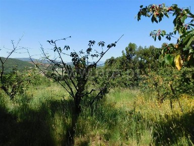 Quinta à venda em Souto da Casa