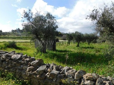Quinta à venda em Fundão - Valverde - Donas - Aldeia de Joanes - Aldeia Nova do Cabo