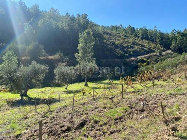 Quinta à venda em Castelejo