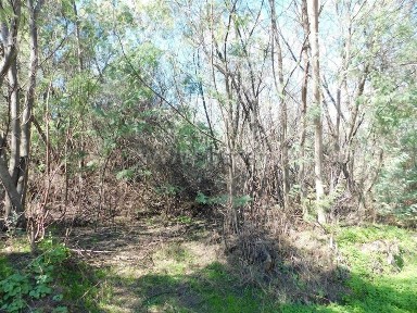 Quinta à venda em Vale de Prazeres e Mata da Rainha