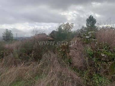 Quinta à venda em Silvares