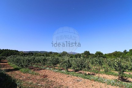 Fundão, Castelo Branco