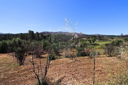 Castelejo, Santa Luzia