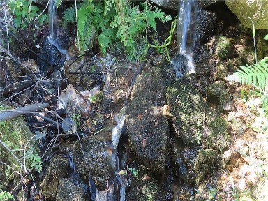 Quinta à venda em Castelo Novo