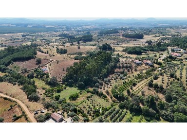 Fundão, Castelo Branco