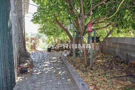 Quinta à venda em Louriçal do Campo