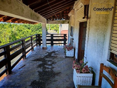 Cernache do Bonjardim - Nesperal - Palhais, Paparia s/n