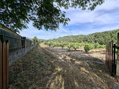 Belmonte, Castelo Branco
