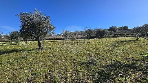 Quinta à venda em Caria