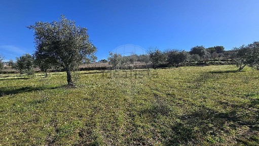 Quinta à venda em Caria