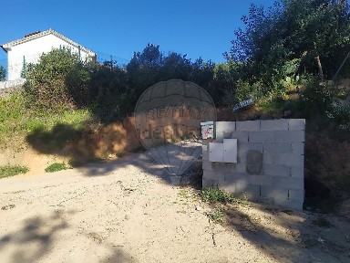 Fundão, Castelo Branco