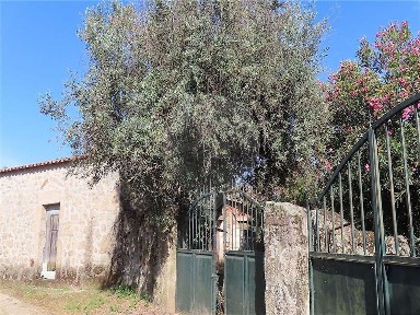 São Miguel de Acha, N233