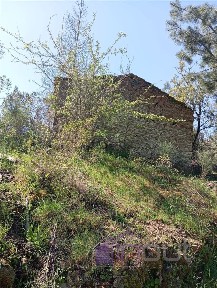 Quinta à venda em Sarzedas