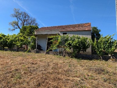 Sertã, Castelo Branco