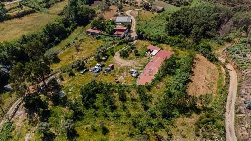Covilhã, Castelo Branco