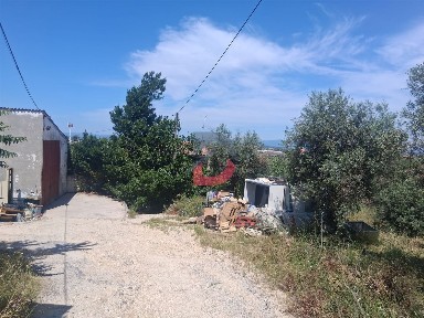 Quinta à venda em Castelo Branco
