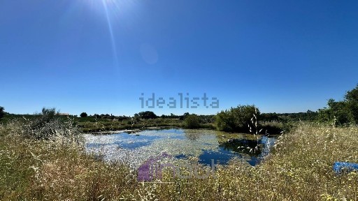 Quinta à venda em São Vicente da Beira