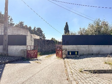 Castelo Branco, Rua Mousinho Magro