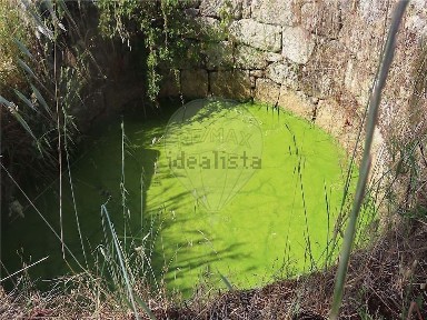 Quinta à venda em Penamacor
