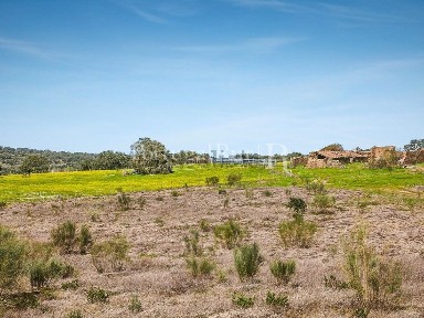 Herdade à venda na Rua do Espírito Santo