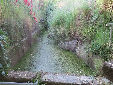 Quinta à venda em Vale de Prazeres e Mata da Rainha