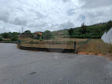 Colmeal da Torre, Estrada da Torre
