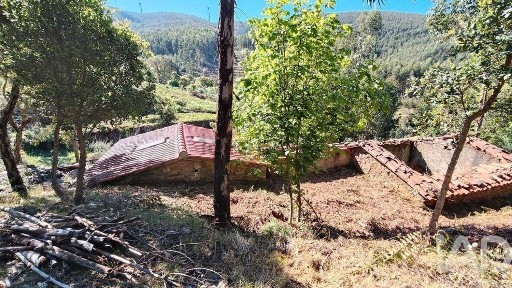 Casa ou moradia à venda em Pedrógão Pequeno
