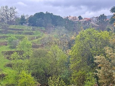 Covilhã, Castelo Branco