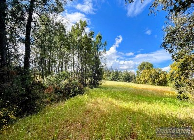 Quinta à venda em Soalheira