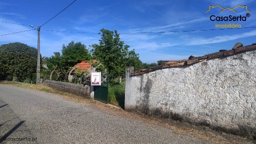 Cabeçudo, Carpinteiro s/n