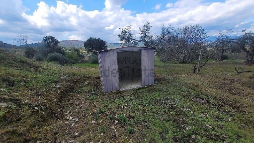 Quinta à venda em Telhado