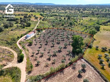 Quinta à venda em Ladoeiro