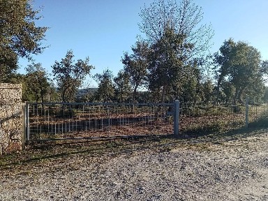 Penamacor, Avenida do Poço de Carvalho