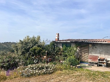 Quinta à venda em Castelo Branco