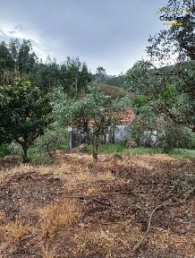 Estreito - Vilar Barroco, Casal da Ribeira s/n