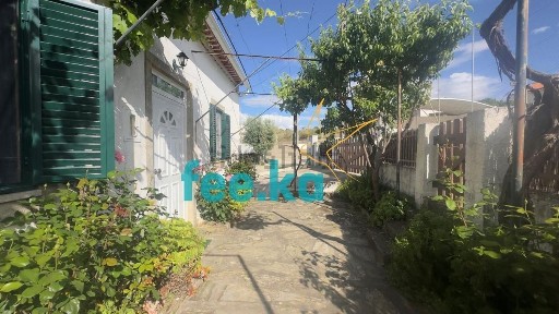 Castelo Branco