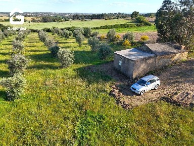 Quinta à venda em Escalos de Cima
