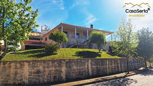 Sertã, Rua dos Cravos